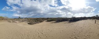 2023-GC--Mapalomas dunas-S123-066.jpg
